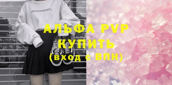 крисы Новозыбков