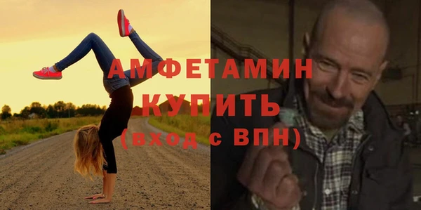 крисы Новозыбков