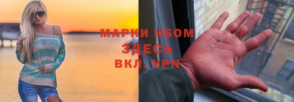 крисы Новозыбков