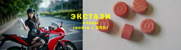 крисы Новозыбков