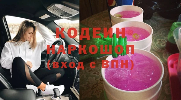 крисы Новозыбков