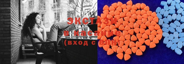крисы Новозыбков