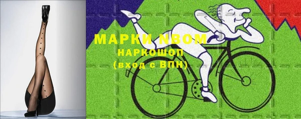 крисы Новозыбков