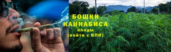 крисы Новозыбков