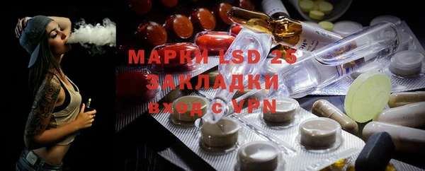крисы Новозыбков