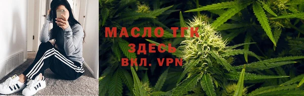крисы Новозыбков