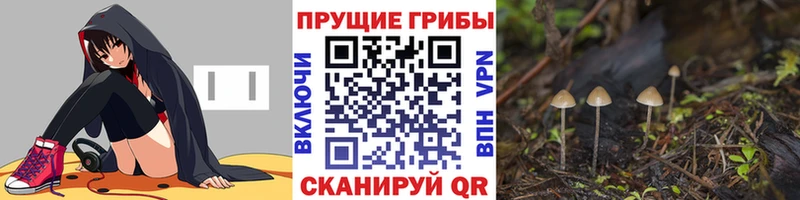 hydra как войти Новохопёрск Галлюциногенные грибы прущие грибы